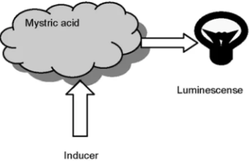Fig. 2. Bioluminescence is controlled by the inducer.