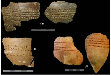 Figure S6. Examples of Neolithic pottery with Boquique decoration from Galería del Sílex (Cueva Mayor, Atapuerca)
