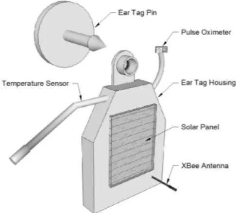 Figure 3. Rumen bolus  [49] 3.2 Ear tag 