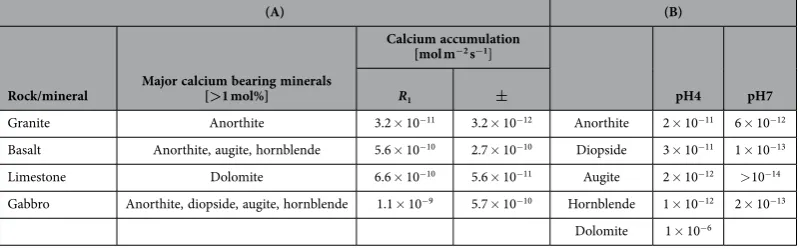 Table 5. (B)  (A) Calcium accumulation rates based on theoretical maximum fungal-rock contact areał
