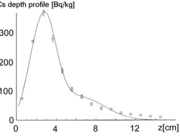 Fig. 2. Cellular automata structure.