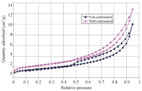 Table 1. Specific surface area of non-carbonated and well-carbonated mortars.                                      