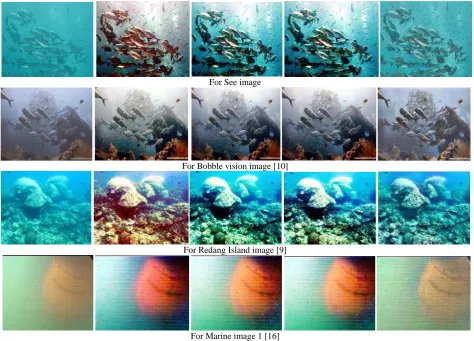 Figure 4 results of the various enhancement methods for all input images are given. It is observed that HE method suffer from the colour shifting problem