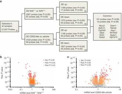 Figure 3| Genes sensitive to genetic inhibition or pharmacological induction of Nrf2 in the mouse kidney