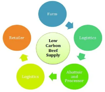 Figure 1 LCA of beef supply chain