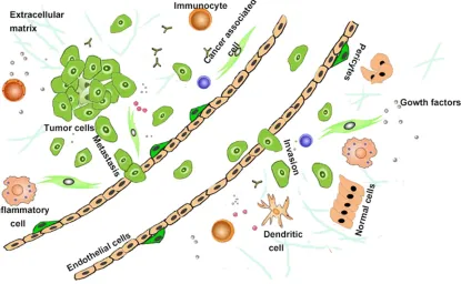 Figure 1. The model of tumor cell-microenvironment interactions. In the tumor environment, tumor cells maintain close contact with the activated cancer-associated fibroblasts and inflammatory cells through various growth fac-tors and cytokines; at the same