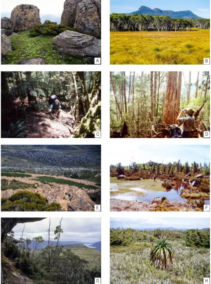 Figure 2-2 A)  Cushion plants growing on Mt Ossa B) Buttongrass moorlands and dry eucalypt forest south of Lake St Clair C) Steep rainforest slopes on Mt Olympus D) Dry eucalypt forest on the steep eastern slopes of Lake St Clair leading onto the Central P