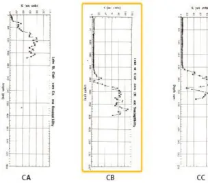 Figure 3-2 Magnetic susceptibility plots for cores CA-CC.