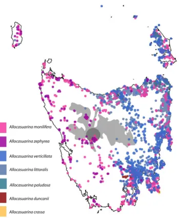 Figure 4-18 The distribution of the different species of Allocasuarina within Tasmania