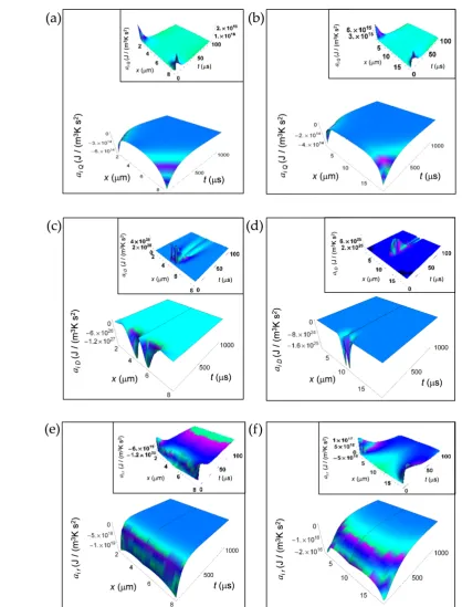 Figure 1. IEDA generated by heat, matter and irreversible reactions during glucose catabolism for a time interval of 1000 μs