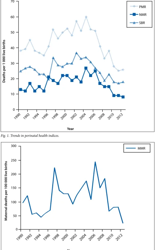 Fig. 1. Trends in perinatal health indices. 