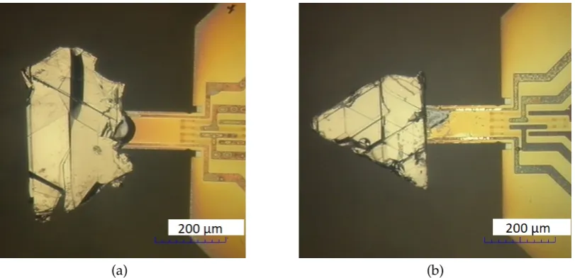 Figure 5. Natural graphite ﬂakes on the tip of the cantilevers. The sample thickness was (a) 1.2 µmand (b) 6.9 µm