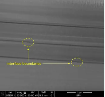 Figure 1. STEM picture of a comercial HOPG ( SPI) graphite lamella (∼ 400 nm thick) cut from a bulksample measured also in this work