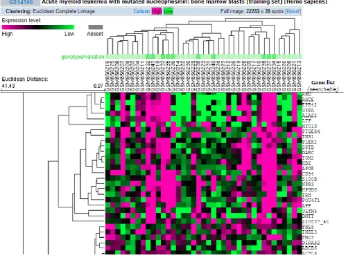 Fig 1: Hierarchical Clustering on AML GDS4500