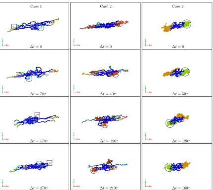 Figure 7. Representative simulation snapshots displaying the time evolution of the SBC in shear ﬂowfor { f, α, λ} = {12, 0.3, 1.0} (Case 1), {15, 0.5, 1.11} (Case 2) and {18, 0.7, 1.1} (Case 3)