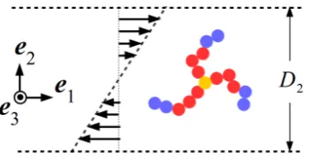 Figure 1. Schematic illustration of the simulation setup, demonstrating the shear (vorticity (eˆ1), gradient (eˆ2), andeˆ3) directions of planar, Couette ﬂow