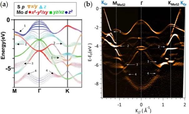 Figure 8. Example of ARPES from graphene and TMDC heterostructure with gap opening. (a) Calculated band structure of MoS2 with the orbital character of the individual bands color-coded