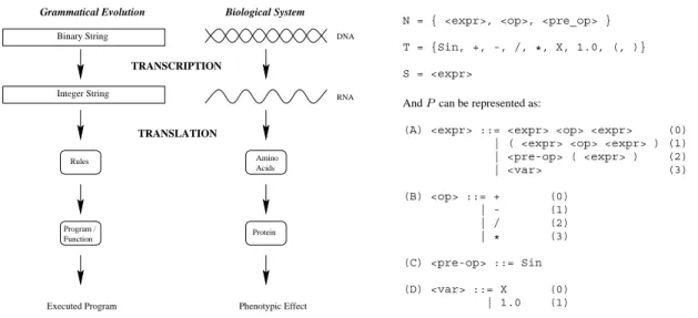 Figure 2: A comparison between the grammatical evolu- evolu-tion system and a biological genetic system