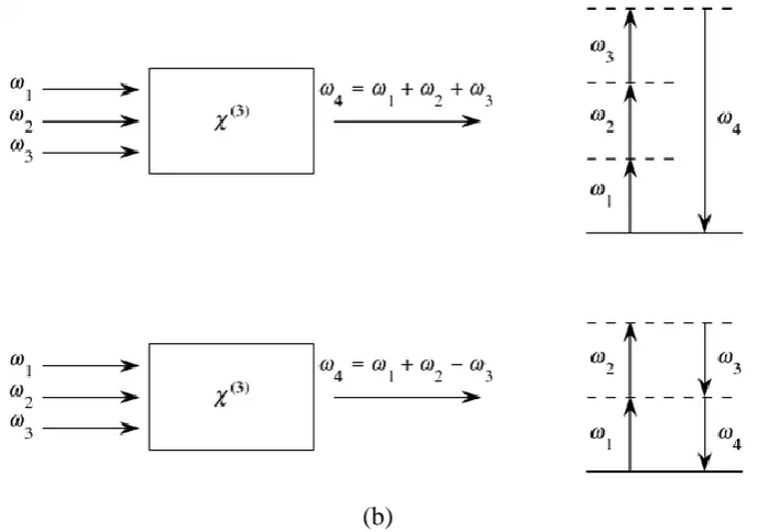 Figure 1.5. (a) Geometry of phase conjugation by DFWM, (b) Possible degenerate four-wave mixing processes.5  