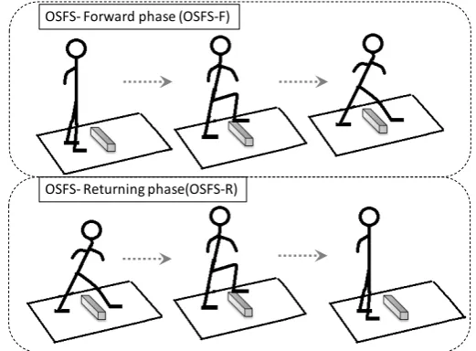 Figure 1. Obstacle single leg forward step test (OSFS test).            