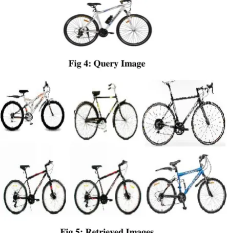 Fig 4: Query Image  