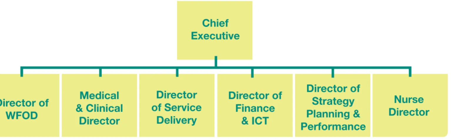 Figure 9 Welsh Ambulance Services NHS Trust Executive Structure