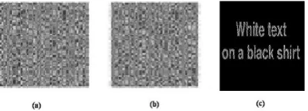 Figure 1: Example of traditional (2, 2)-VCS with image size 128x128. 