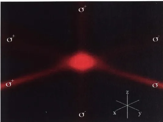Figure 2.3: sitely circular polarized light form Einstein Three spatially orthogonal, counter-propagating pairs of oppo-an optical molasses as used in many Bose-condensation experiments