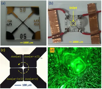 Figure 1. Experimental setup of the microfluidic chip for studying the behavior of electrothermal flow in a rotating electric field (ROT-ETF)