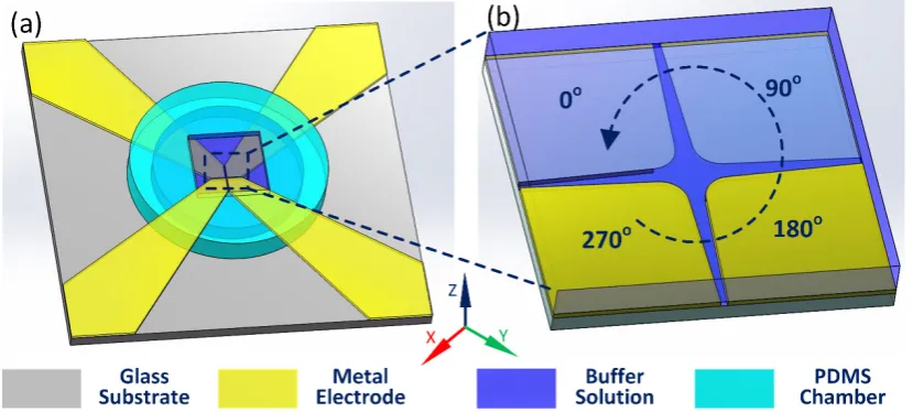 Figure 3. Construction of the 3-D simulation model: (a) Schematic of the 3-D computational domain; (b) A top view of the four-phase polynomial electrode configuration