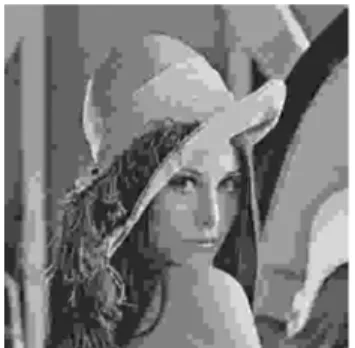 Figure 1: JPEG compressed image   (Bit rate = 0.15bpp, PSNR = 25.91dB)