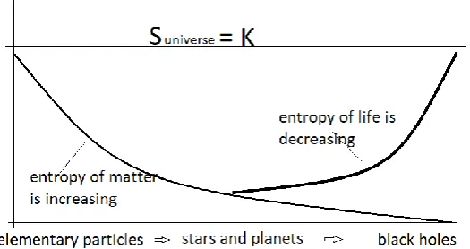 Figure 2: Negentropy of life in the universe with constant entropy  