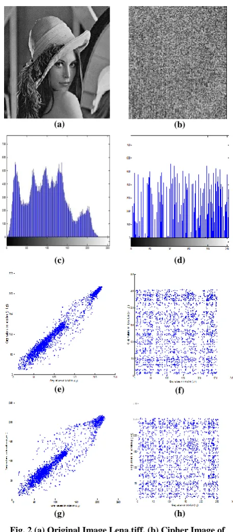 Fig. 2 (a) Original Image Lena.tiff, (b) Cipher Image of Lena.tiff, (c) Histogram of Original Lena image, (d) Histogram of Ciphered Lena Image, (e) Horizontal Scatter Ciphered Lena Image, (g) Vertical Scatter Plot of Plain Lena Image, (h) Vertical Scatter 