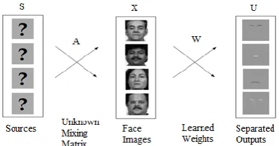 Figure 1: ICA (InfoMax algorithm) - Image synthesis model for architecture I 