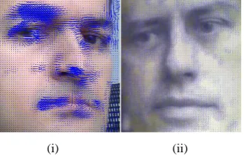 Fig 3: Ideal motion field 