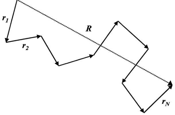 Figure 2.1: The freely jointed chain model consisting of N links of length a.