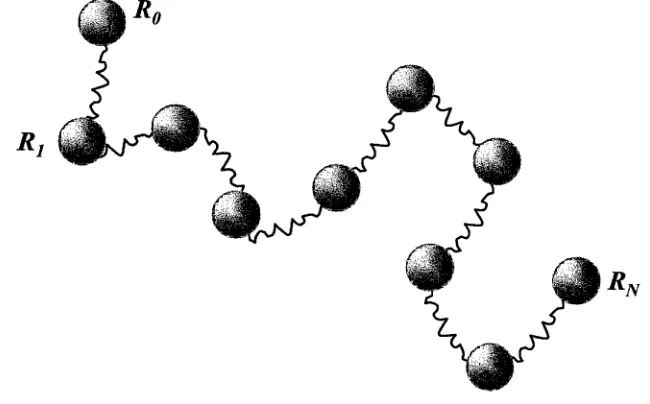 Figure 2.2: The beads-spring model.