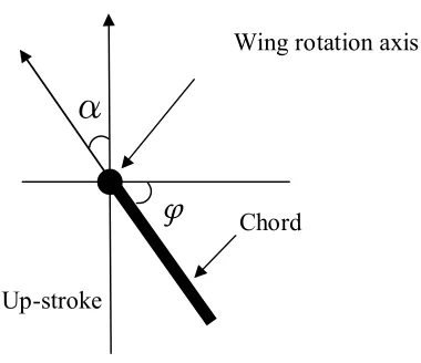 Figure 3.8   Rotation angle and AOA viewed from wing tip to root.  