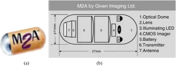 Figure 1. Given imaging capsule [4]. (a) Capsule endoscope, (b) Components 