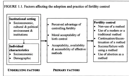 FIGURE 1.1. Factors affecting the adoption and practice of fertility control 
