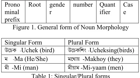 Figure 1. General form of Noun Morphology 
