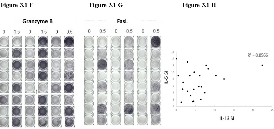 Figure 3.1 Cytokine and cytolytic molecule profile of the piperacillin-specific T-cell clones generated from hypersensitive patients
