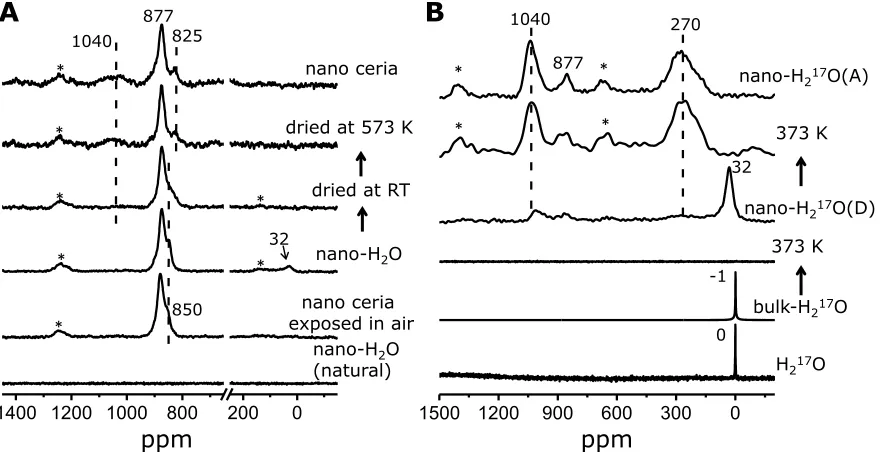 Fig. 2. Solid state NMR spectra of ceria in contact with water. (A), (from bottom to top) 17O 