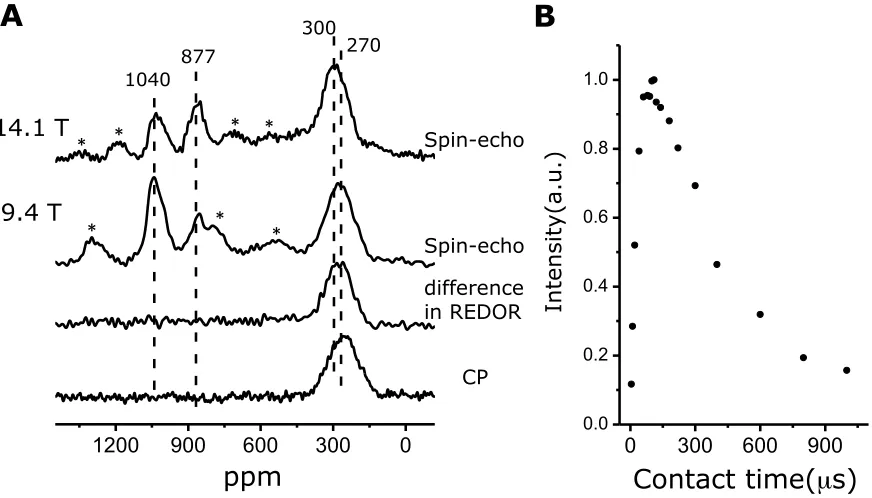 Fig. 3. Double resonance solid state NMR data of ceria nanoparticles. (A), (from top to 