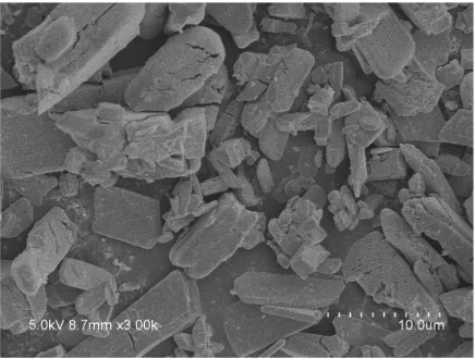 Fig. S3. The SEM image of the bulk ceria sample.  
