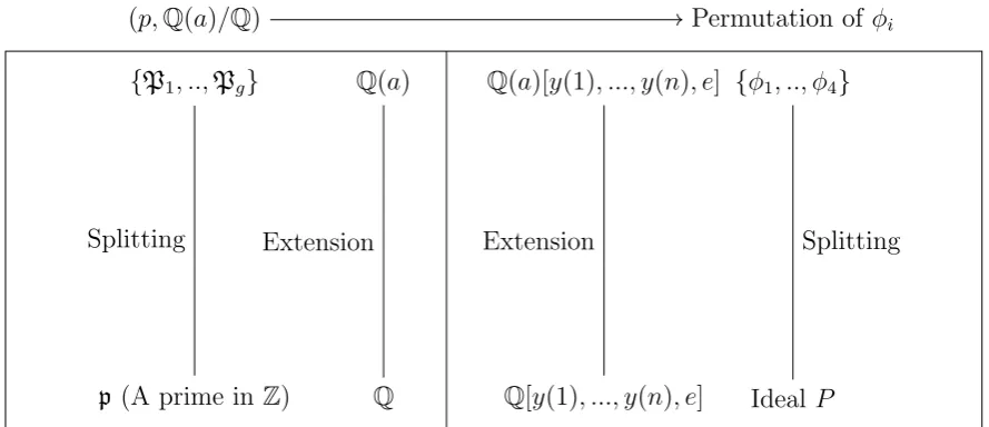 Figure 5.1: The extension and the splitting in the computed model.