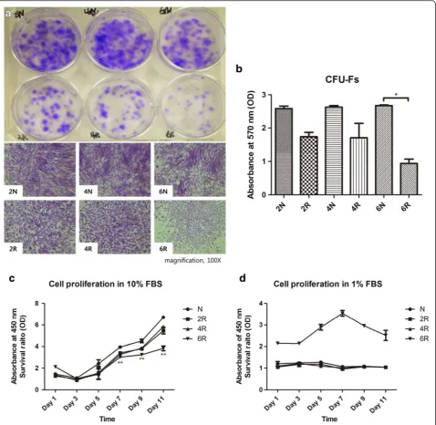 Fig. 2 Proliferation capacity.CFU formation in the 6 N group was 2.5-fold higher than in the 6R group ( a Macroscopic and microscopic view of colony-forming units (CFUs) determined by crystal violet staining