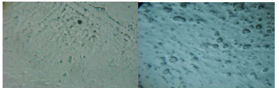 Figure 1: Microscopic solubility studies 