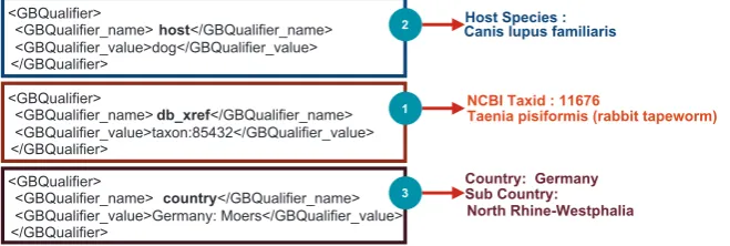 Figure 2. Example illustrating the information extracted from sequence metadataID—sequence = 158668169..