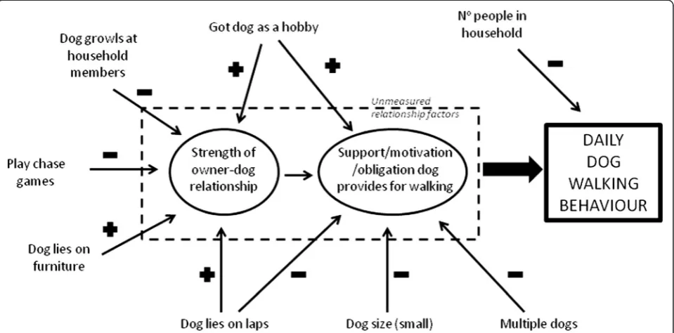 Fig. 1 Conceptual map of behavioural and demographic variable influences on daily dog walking via the dog-human relationship and support/motivation/obligation provided by the dog for walking